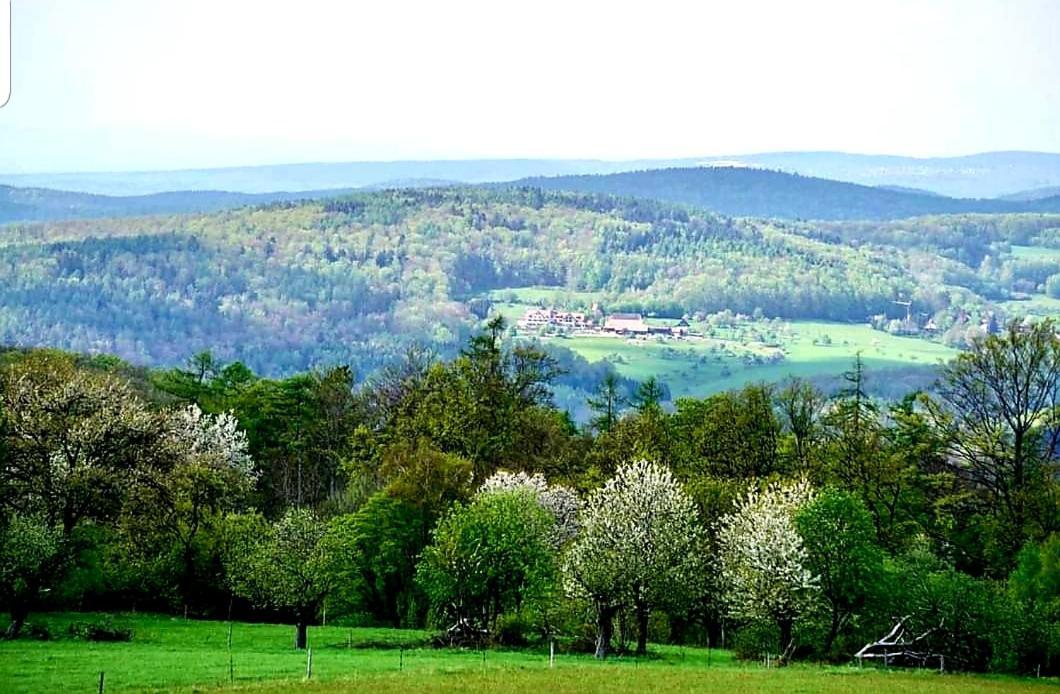Geishoehe Landgasthof Rose Dammbach المظهر الخارجي الصورة
