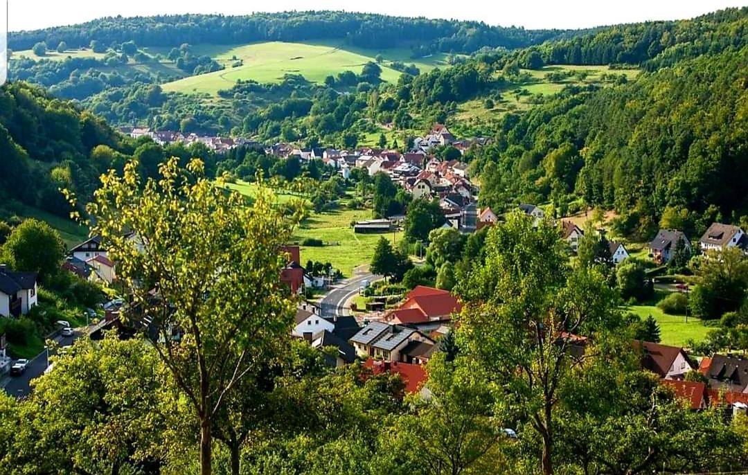 Geishoehe Landgasthof Rose Dammbach المظهر الخارجي الصورة